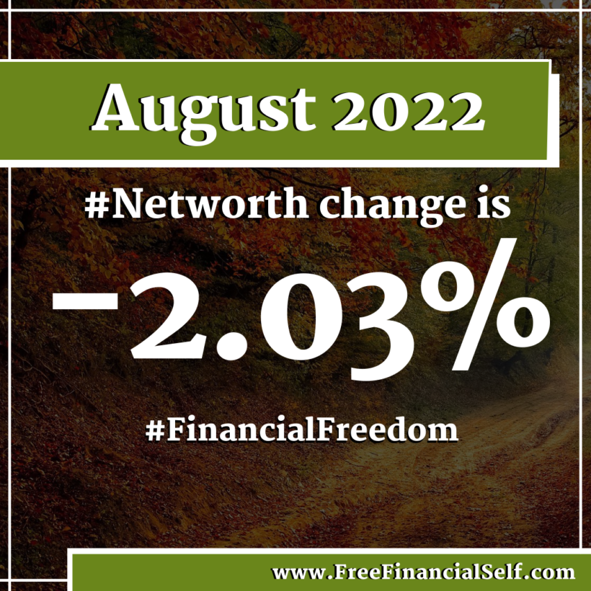 August 2022 Personal Net Worth Report Free Financial Self